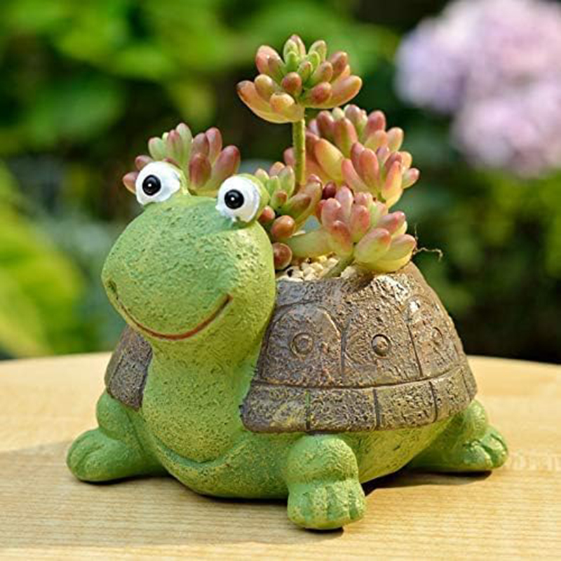 かわいいカメプランタージューシーな盆栽サボテン植物ポット女の - Bonsai Garden For Desk のレビューと価格
